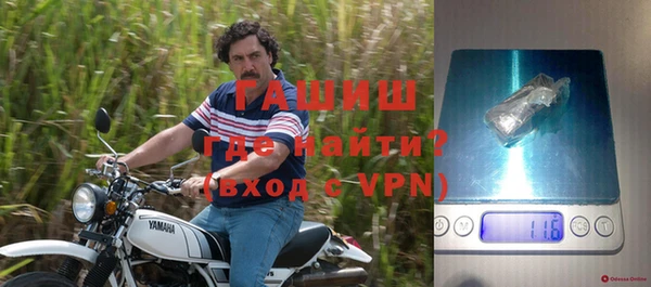 гидра Елабуга