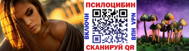 кракен маркетплейс  Судогда  Галлюциногенные грибы прущие грибы  наркотики 